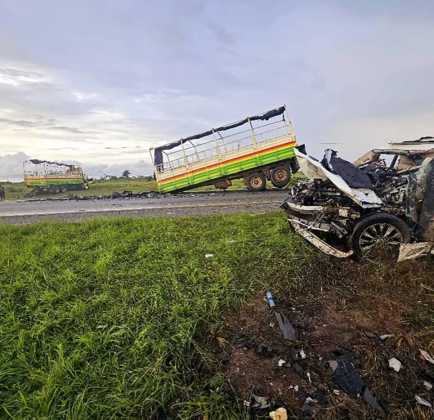 Mkurugenzi Mtendaji wa TANESCO, dereva wake wafariki dunia